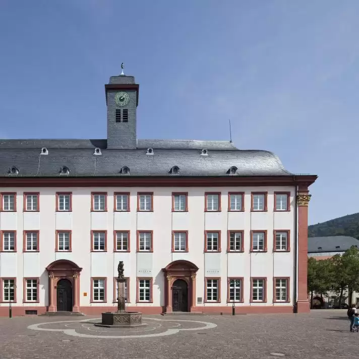 Heidelberg University